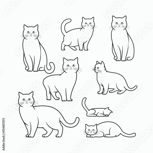 British Shorthair silhouette vector template cat illustration