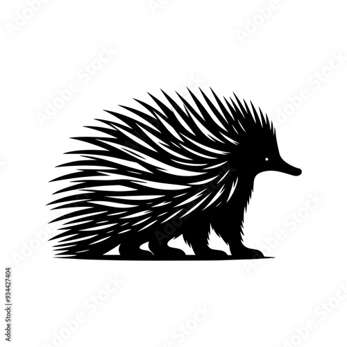 Echidna silhouette, vector black color silhouette