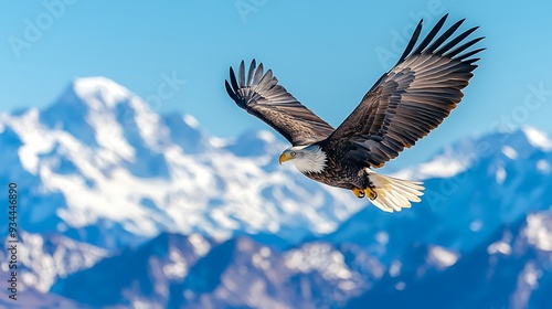 Wallpaper Mural Bald Eagle Soaring Over Majestic Mountain Peaks Torontodigital.ca