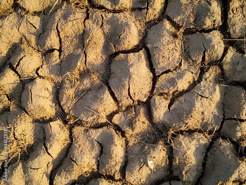 Cracked and Arid Earth Terrain Highlighting the Impacts of Drought and Climate Change photo