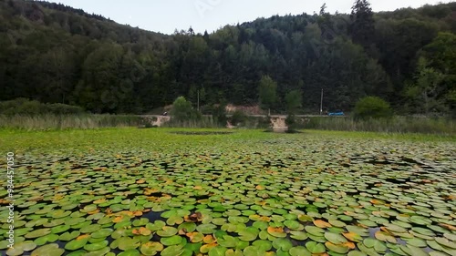 Abant Lake and the surrounding forest area photo