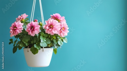 Pink petaled flower plant inside white hanging pot
 photo