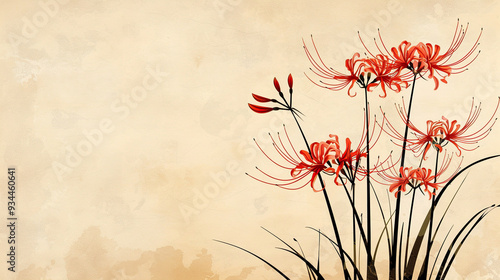 Vibrant Red Poppies Isolated