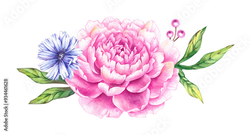 Watercolor pink peonies bouquet. Hand drawn flowers blooming with petals, buds and leaves. Floral set of peonies with chicory for design of wedding products, cards, packaging, fabrics, etc. Peony bouq photo