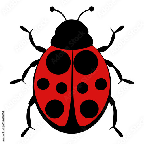 ladybug on white background