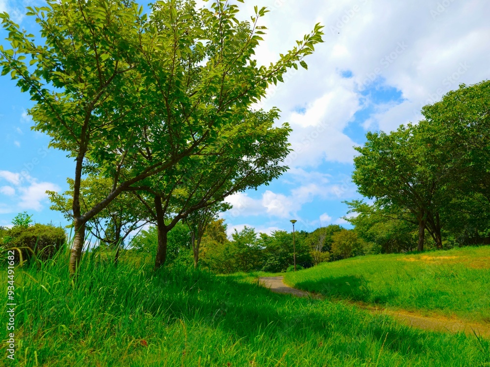 Obraz premium landscape with beautiful sky and cloud