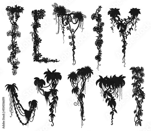 Jungle forest liana branches and tropical ivy vine, vector silhouettes. Tropical rainforest creeper plant or jungle liana leaves and bindweed tree with climbing tendrils silhouette for border frames