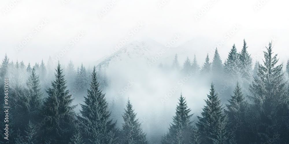 Fototapeta premium Misty snowy mountain with pine forest, soft edges blurring and fading into white background, ultrarealistic