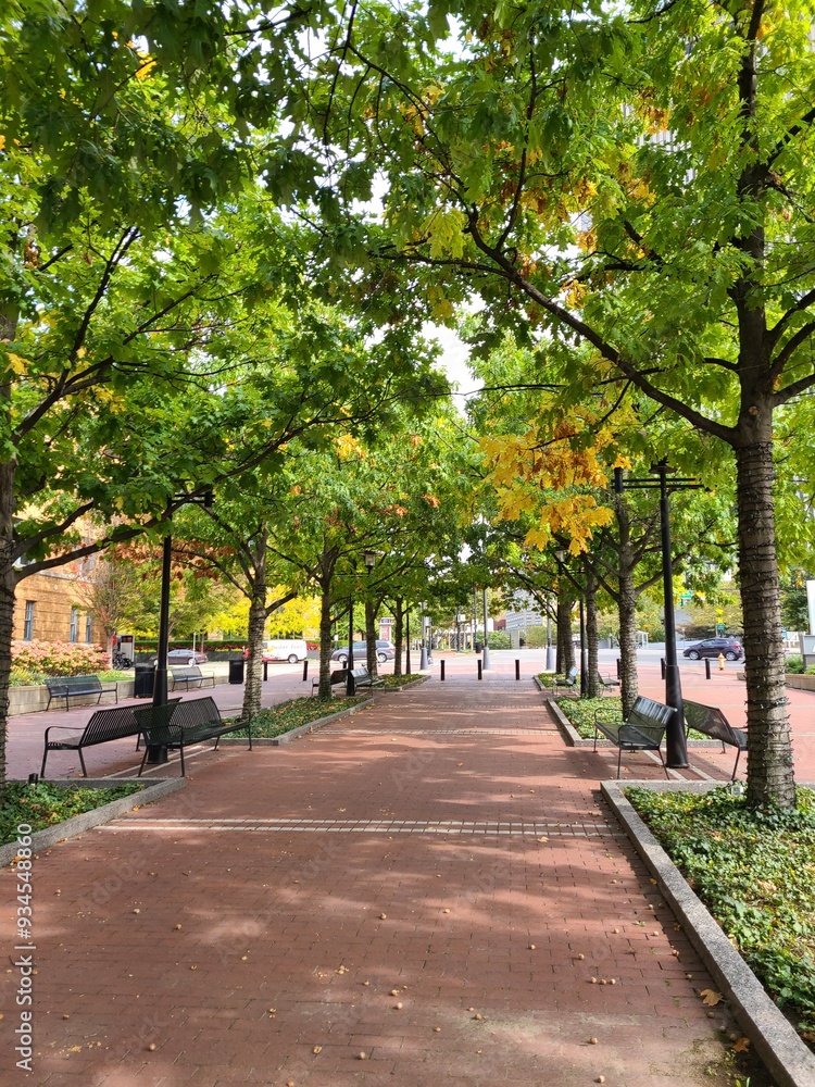 path in park path in park