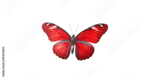 A red butterfly with black wings is flying in the air