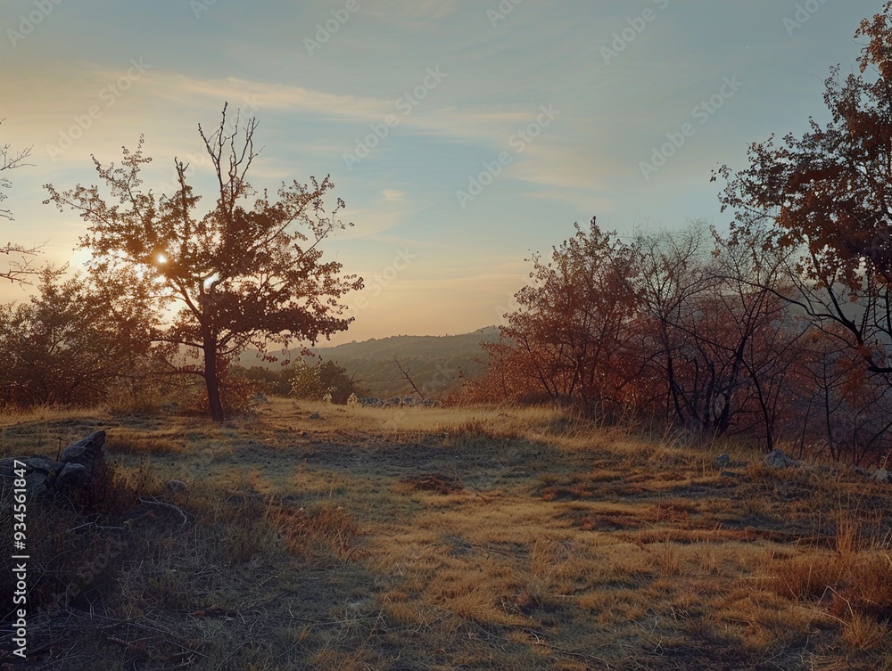 Golden Hour Landscape with Trees and Hills Golden Hour Landscape with Trees and Hills