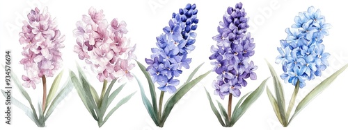 Watercolor floral arrangements featuring hyacinths suitable for greeting cards and various occasions