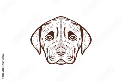 collection of Labrador retriever dog isolated outlined vector illustration isolated on white background with brown color. retro engraved style.