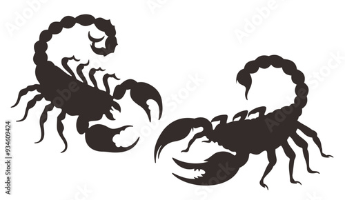 scorpion illustration