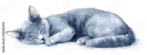 Watercolor illustration of a gray Russian Blue cat peacefully curled up on a white background