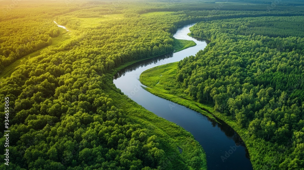 Aerial View: Winding River Through Lush Green Forest Aerial View: Winding River Through Lush Green Forest