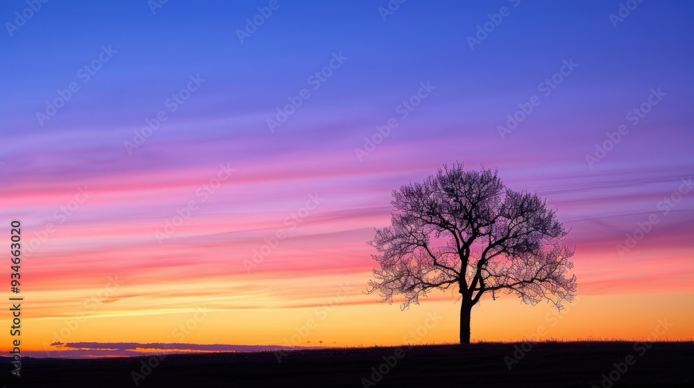 Solitary Tree Silhouette at Sunset Solitary Tree Silhouette at Sunset