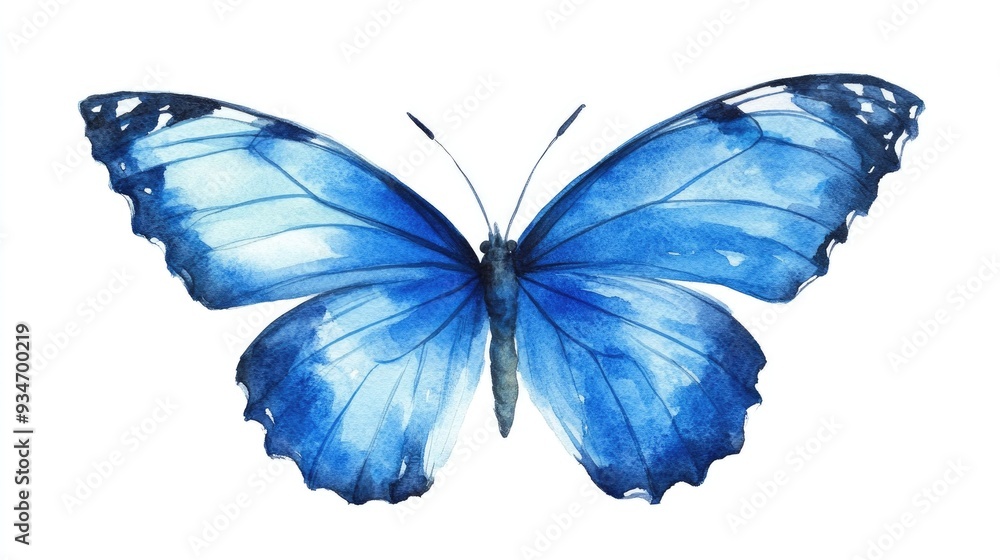 Fototapeta premium Watercolor illustration of a blue butterfly