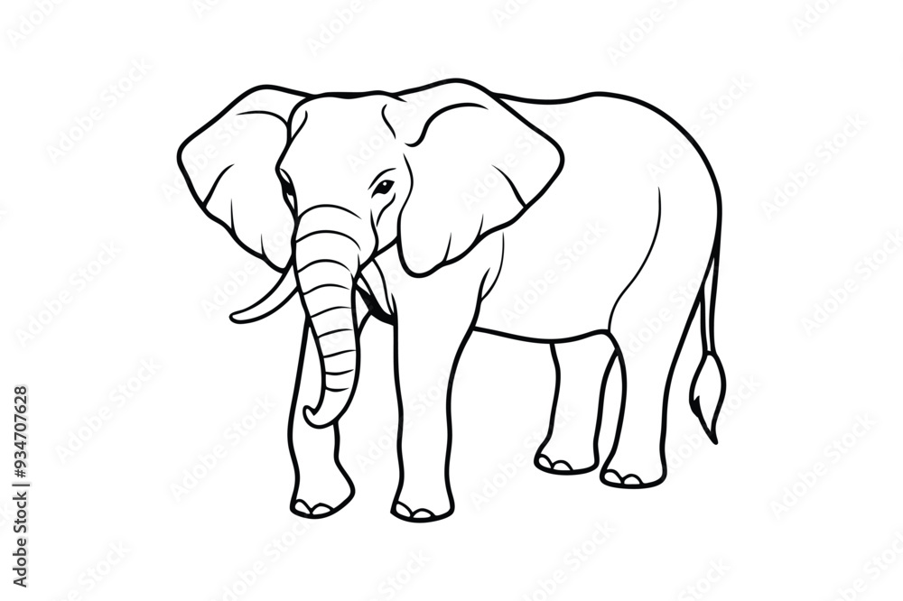 Fototapeta premium elephant illustration line art vector