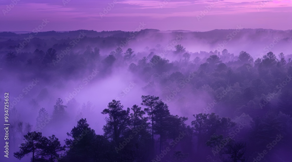 Purple Haze Enveloping a Forest at Dawn Purple Haze Enveloping a Forest at Dawn