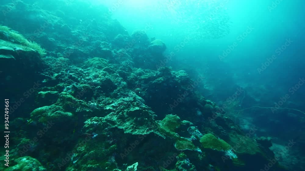 Ocean floor covered with small rocks and holes in water Ocean floor covered with small rocks and holes in water