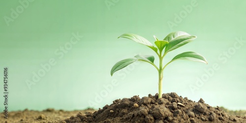 Wallpaper Mural medium shot of fertile soil Torontodigital.ca