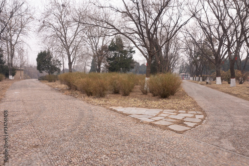 Winter at the Yinxu Palace Ruins Park photo