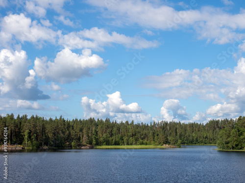 clouds on a forest lake in summer