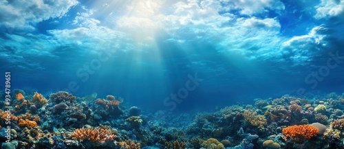 Underwater Coral Reef with Sunbeams