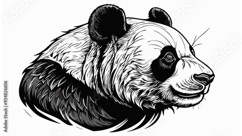 Panda Head Sketch Style - Animal Face Portrait Mammal
