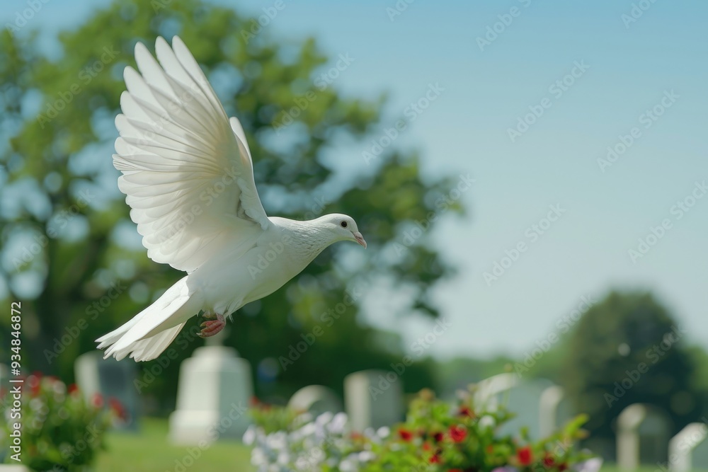 Obraz premium Symbol of Peace and Remembrance Soaring in Blue Sky Above Green Cemetery, Serene Dove of Hope