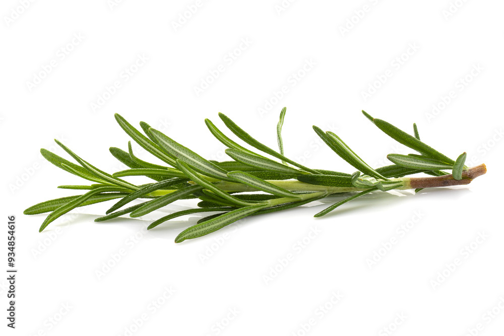 Rosemary leaf herbal is spices isolated on a white background. Rosemary leaf herbal is spices isolated on a white background.