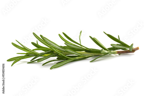 Rosemary leaf herbal is spices isolated on a white background.