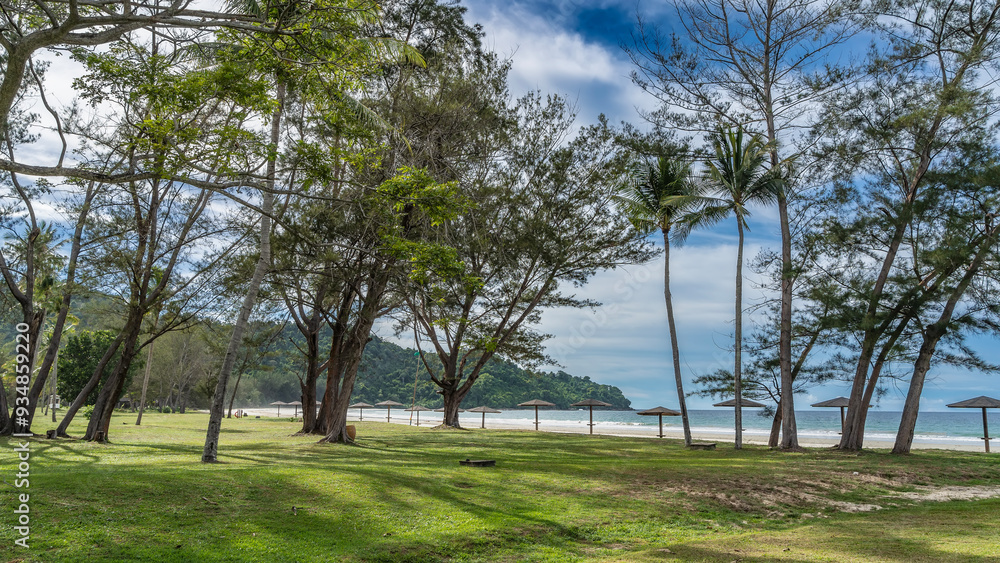 Obraz premium Sprawling trees and palms grow on a green lawn in a tropical park. Sun umbrellas stand in a row on the sandy beach. The waves of the turquoise ocean are foaming. A hill against a blue sky, clouds.