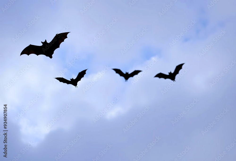 Fototapeta premium Silhouettes of bats flying against a snowy, cloudy sky