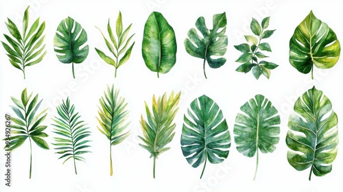 A collection of tropical leaves in various stages of growth, each leaf meticulously painted with fine watercolor details, the gradient greens blending seamlessly with a white background