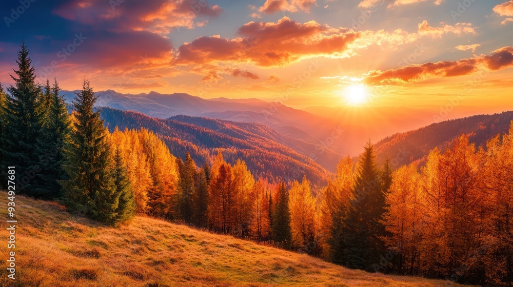 Naklejka premium Sunset Over a Mountain Forest with Golden Fall Colors
