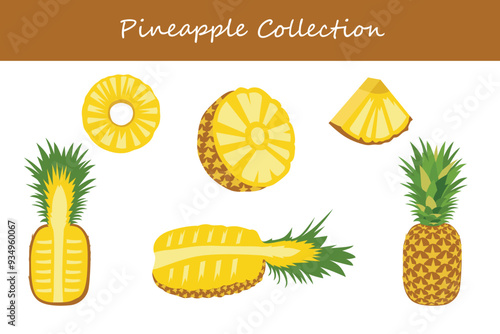 pineapple collection in different poses. Vector illustration.