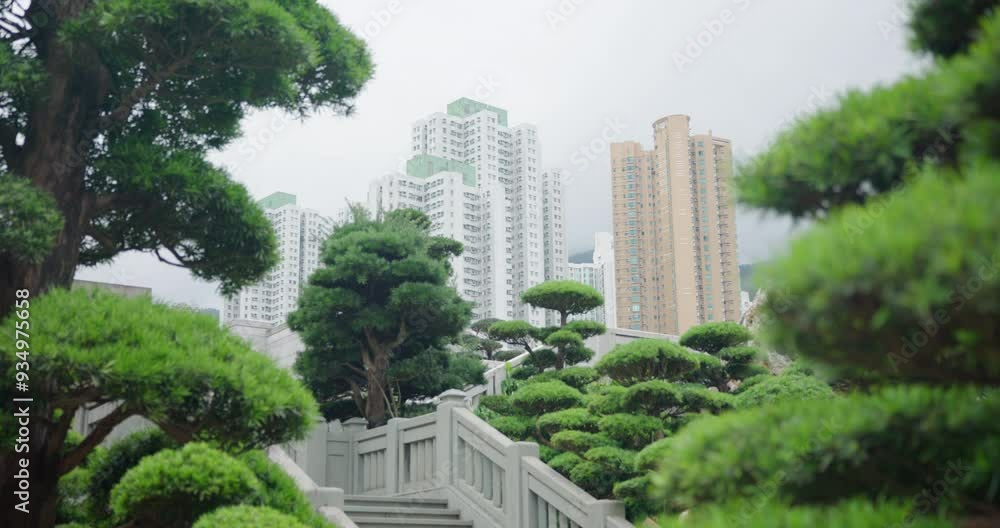 Beautiful View of the Stairs Surrounded by Trees with the Skyscrapers in Background in Hong Kong Beautiful View of the Stairs Surrounded by Trees with the Skyscrapers in Background in Hong Kong