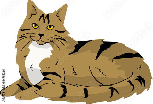 Illustration of a Siberian Cat