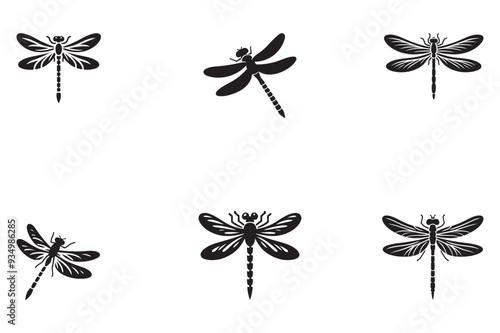 Dragonfly black silhouette in white background