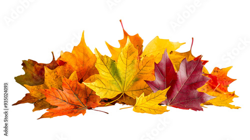 Pile of autumn colored leaves isolated on a transparent background