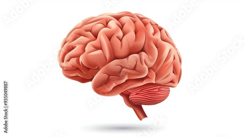 Human brain icon - vector