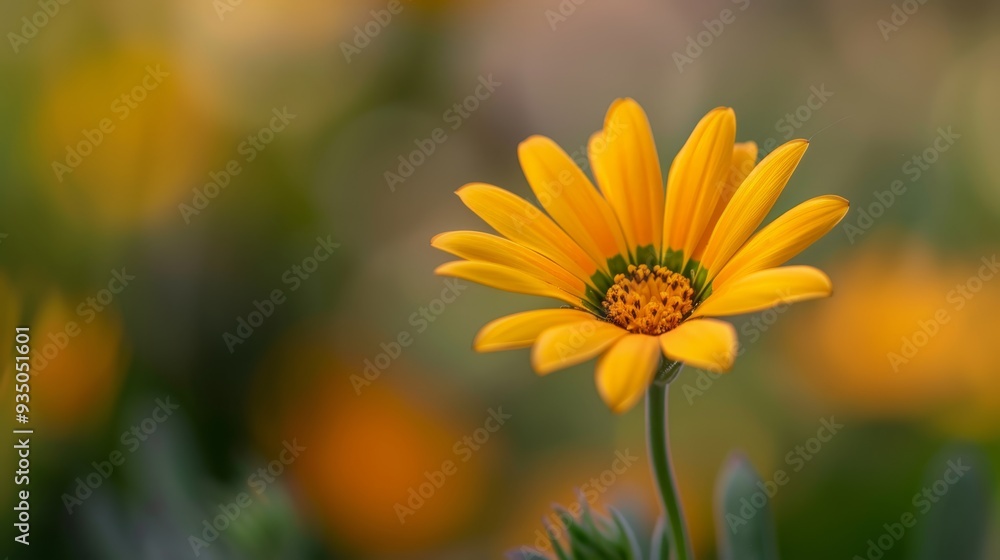 A yellow bloom, green-centered, amidst a sea of yellow flowers and emerald foliage A yellow bloom, green-centered, amidst a sea of yellow flowers and emerald foliage