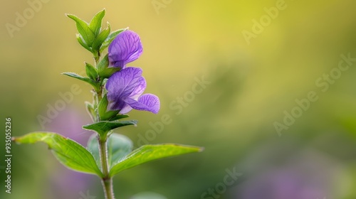  A tight shot of a purple bloom atop its green-leafed stem, background softly blurred