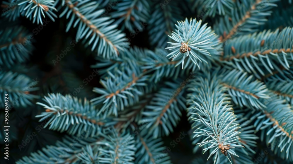  A tight shot of pine tree needles, sharp and clear Nearby, a soft, blurred depiction of additional pine tree needles