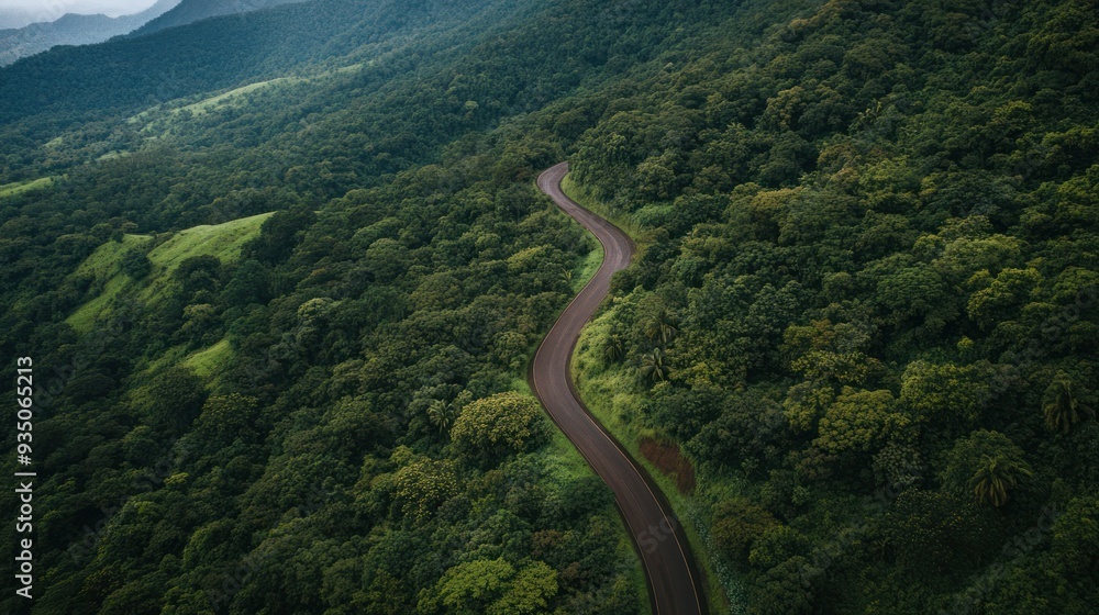 Aerial View of Winding Road Through Lush Green Forest Aerial View of Winding Road Through Lush Green Forest