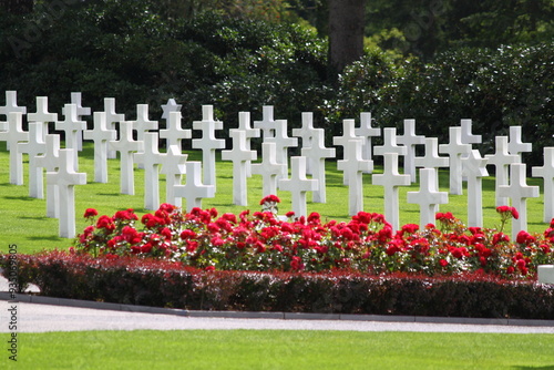 cementerio de Hamm photo