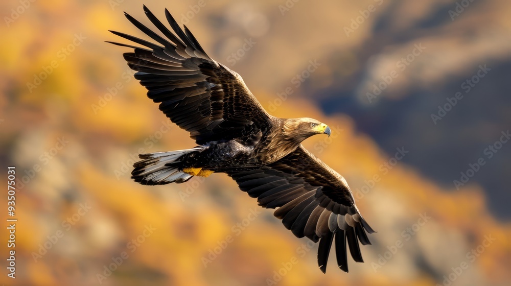 Obraz premium A large bird flies through the air with its wings spread wide