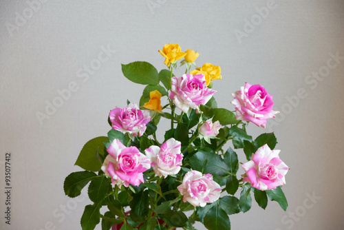 Wallpaper Mural スプレーばら Torontodigital.ca